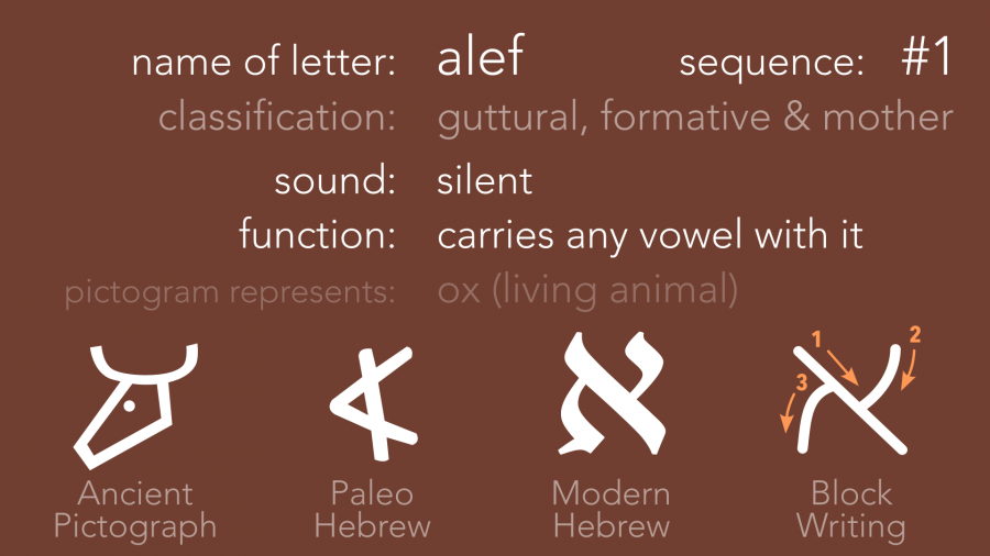 slide-alef.png slide-alef.png