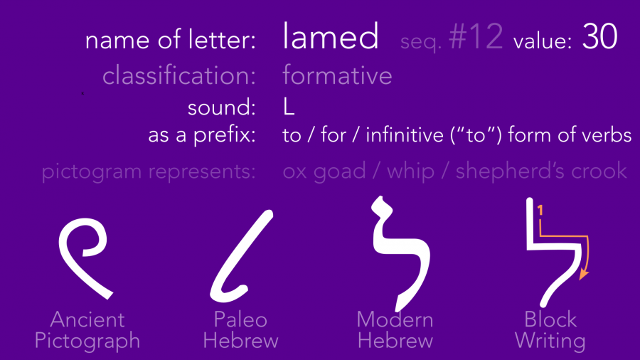 slide-lamed.png slide-lamed.png